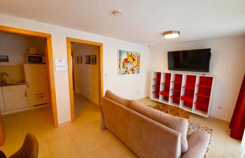 Villa Viktoria 1 - Apartments - City center - Photo 49