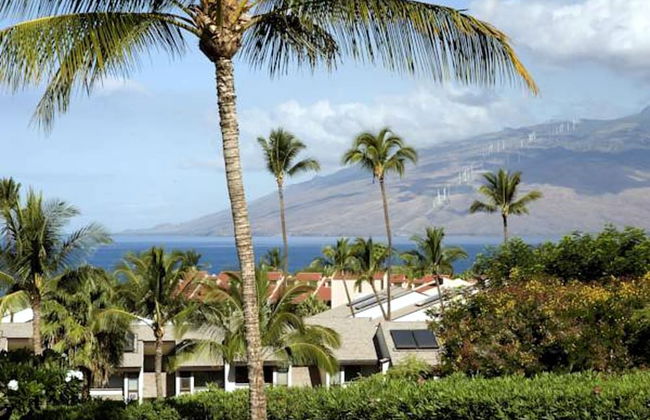 Maui Kamaole - Photo 39