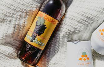 The Hive House at Castoro Cellars - Foto 30