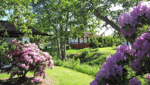 Ferienhaus Scout 42 im Feriendorf Altes Land - Photo 4