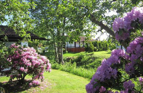 Ferienhaus Scout 42 im Feriendorf Altes Land - Photo 4