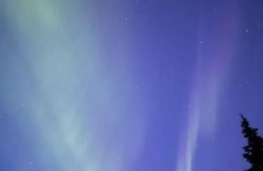 Meadow Rue Retreat - Foto 33