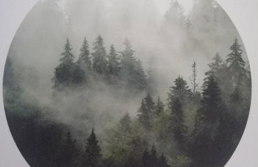 Ferienwohnung Greitemann - Foto 47