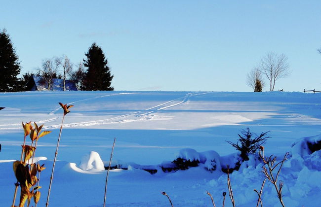Ferienhaus mit Sauna in Winterberg - Foto 28