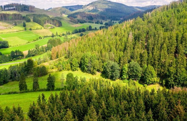 Large Holiday Apartment near Willingen with Private Garden & Terrace - Foto 39