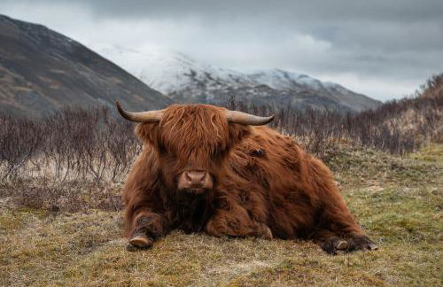 The Church Tower - Photo 57