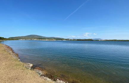 Lake View 92 - Photo 5