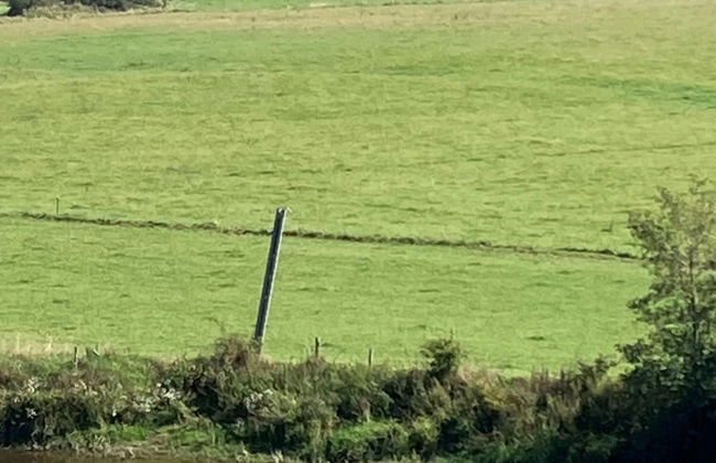 Spacious Villa with Hot Tub & Sauna in Ardennes - Foto 22