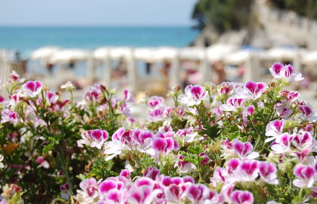 Bahia Blanca - Foto 40