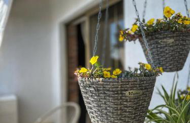 Apartmani Mia - Foto 15