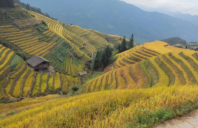 Tour privado por las terrazas de arroz - Foto 6