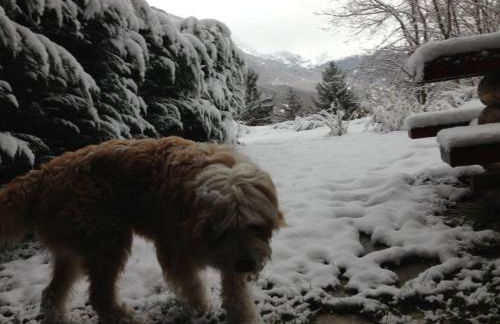 Appartamento Giulia - Photo 22