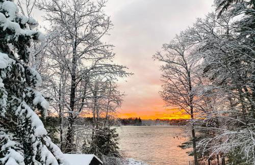 The Blue Lotus - Foto 1