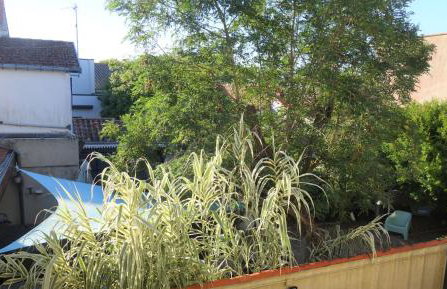 La Caravelle - Foto 8