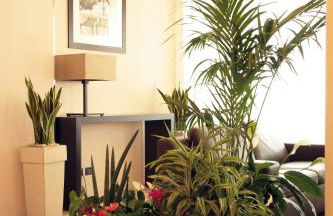 Residence San Paolo - Foto 41