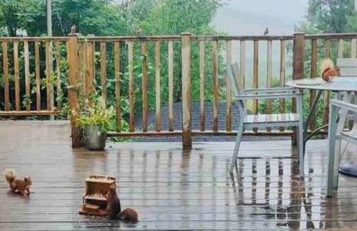 Scottish Highland Cottage Tyndrum Upper Station - Foto 11