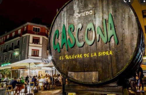 LA TERRAZA DE LA VEGA - Ubicación inmejorable , wifi , terraza y parking gratuito - Foto 51