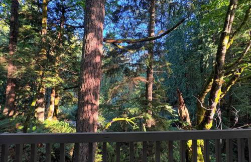 Sudden Valley Luxury Stay-Steps to Lake Louise - Foto 29