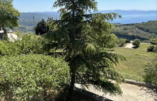 Οξυγόνο Πέτρινο εξοχικό στη Βυζίτσα Πηλίου - Foto 24