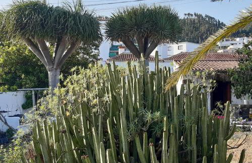 Casa rural Los Dragos - Foto 12