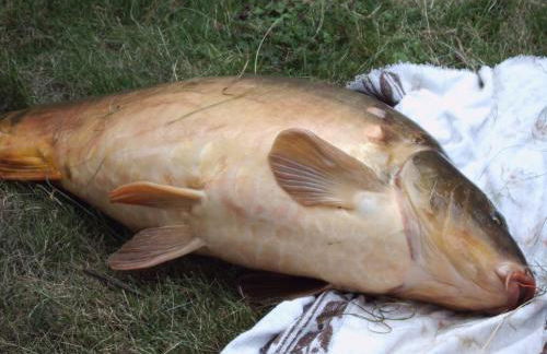 Ferienwohnungen Scheid Volker - Foto 44