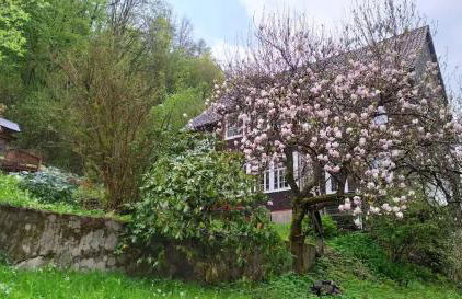 Haus am Wald Zorge 16+ Gäste - Foto 1