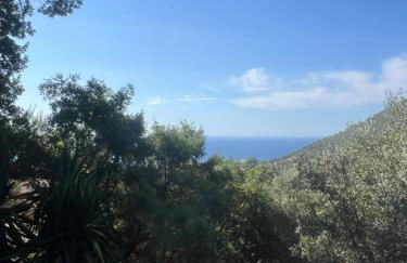 Belle villa avec piscine proche monaco - Foto 10