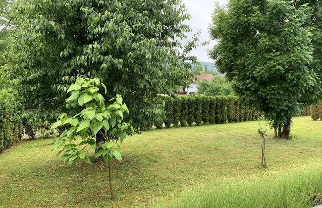 Villa Stone - Foto 79