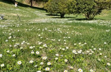 RESORT Panoramico Canale Suite - private parking - Natural Park - Photo 56