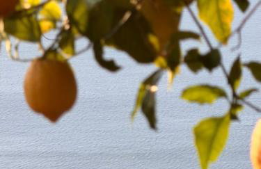 Villa Nina Amalfi - Foto 73