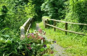 La Casa Di Edy - Foto 17