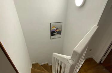 Les coccinelles - Foto 9