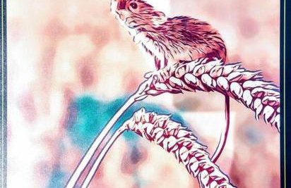 TAIL END: Bijoux Broads & Beach Base! Now with TV! - Photo 28