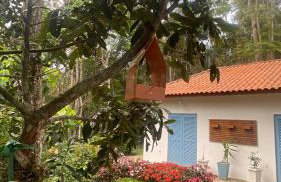 Casa de campo com muito verde e paz, 2 quartos, Wi-Fi, churrasqueira, deck, trilha - Foto 19