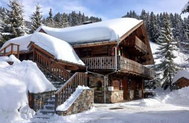 Appartement dans chalet aux saisies-100m des pistes-cœur station 13 pers - Foto 1