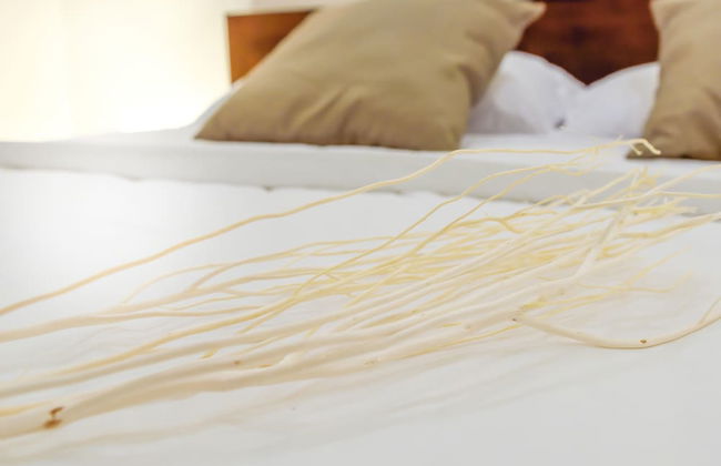 Tulip House Pool Villa Hua Hin - Foto 3