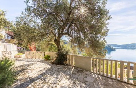 Pansion Mali Raj - Photo 24