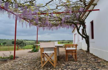 Monte do Arneiro - Foto 11