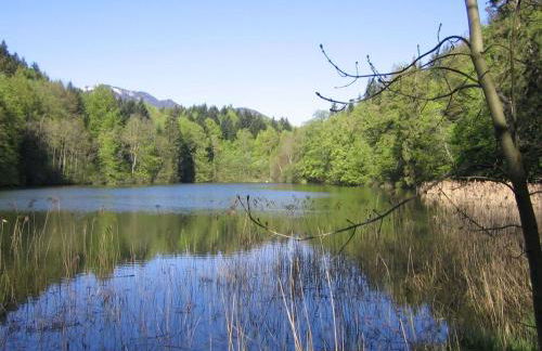 Amazing apartment in Lenggries - Foto 14