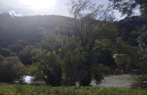 PequeñoCabárceno - Foto 46