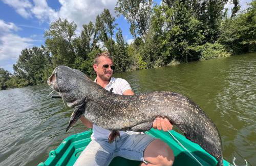 Gite La Garonne - Foto 17