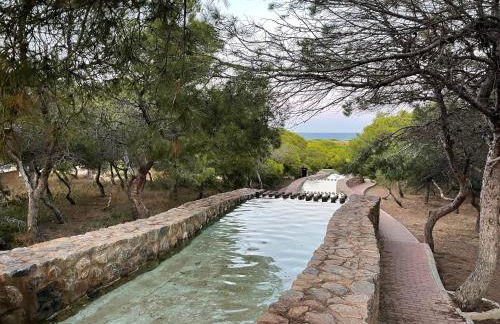 Apartmento Hana con terraza - después de la renovación general - Foto 45