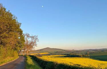 Herb Wood Cottage - Foto 52