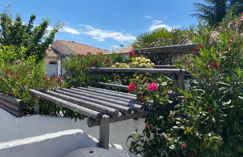 La Salamandre de l Olivier - le Palmier - Foto 16