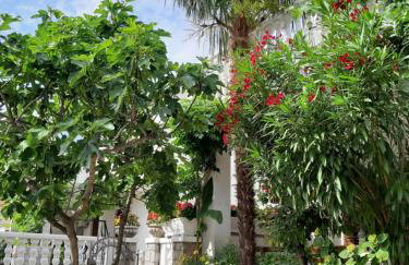 Apartmani Jozefina - Foto 22