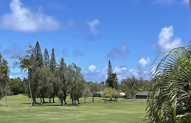 Turtle Bay Sage ta-097-866-3424-02 1 Bedroom Condo by RedAwning - Foto 19