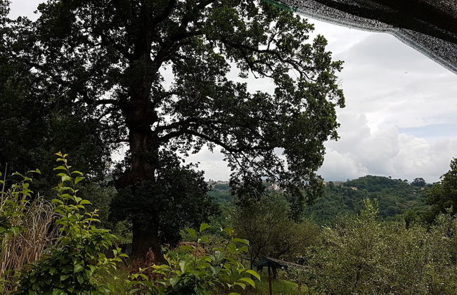 Agriturismo Cisogna - Foto 22