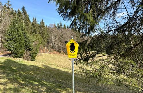 Apartment 1 - Schmiedefeld - klein und fein - Foto 33