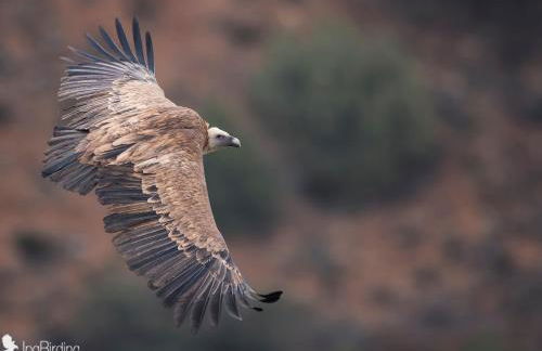 Spa y Casa Rural Rio Dulce - Foto 23