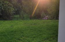 Apartment am Weinberg Kleinaspach - Foto 21